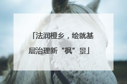 法润橙乡，绘就基层治理新“枫”景