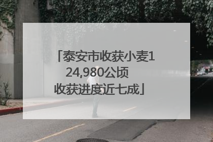 泰安市收获小麦124,980公顷 收获进度近七成