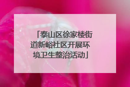 泰山区徐家楼街道新峪社区开展环境卫生整治活动