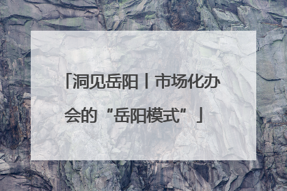洞见岳阳丨市场化办会的“岳阳模式”