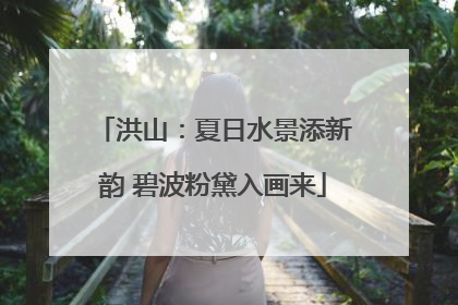 洪山：夏日水景添新韵 碧波粉黛入画来