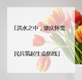 洪水之中，肇庆怀集民兵筑起生命防线