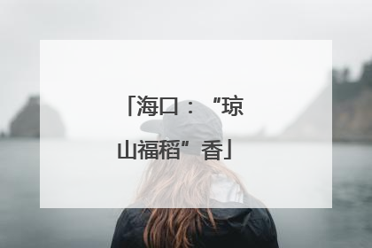 海口：“琼山福稻”香