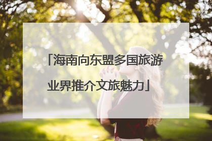 海南向东盟多国旅游业界推介文旅魅力