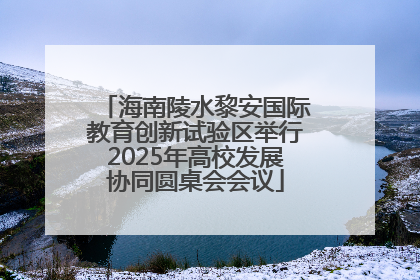 海南陵水黎安国际教育创新试验区举行2025年高校发展协同圆桌会会议