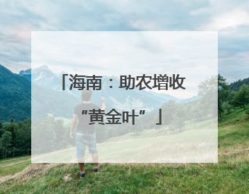 海南：助农增收 “黄金叶”