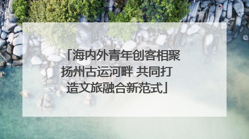 海内外青年创客相聚扬州古运河畔 共同打造文旅融合新范式