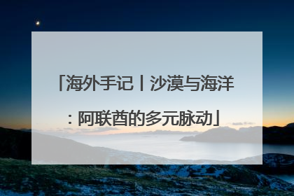 海外手记丨沙漠与海洋：阿联酋的多元脉动