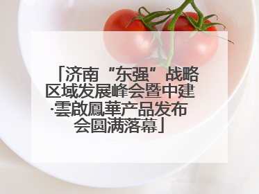 济南“东强”战略区域发展峰会暨中建·雲啟鳳華产品发布会圆满落幕