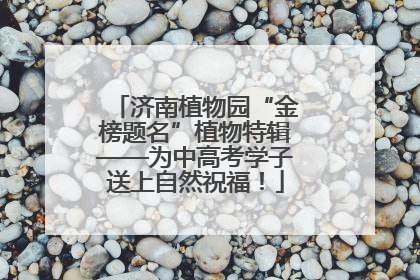 济南植物园“金榜题名”植物特辑——为中高考学子送上自然祝福！