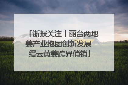 浙报关注丨丽台两地姜产业抱团创新发展 缙云黄姜跨界俏销