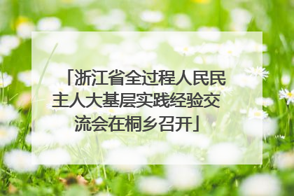 浙江省全过程人民民主人大基层实践经验交流会在桐乡召开