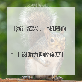 浙江绍兴：“机器狗”上岗助力迎峰度夏