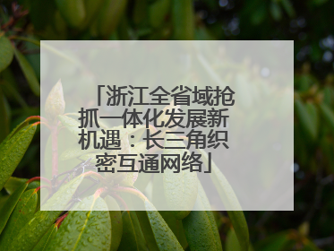 浙江全省域抢抓一体化发展新机遇：长三角织密互通网络