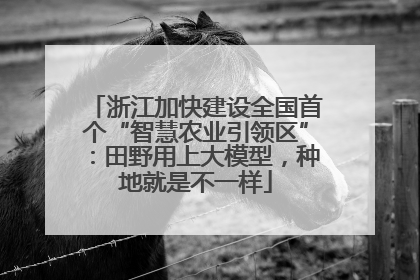 浙江加快建设全国首个“智慧农业引领区”：田野用上大模型，种地就是不一样
