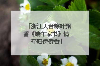 浙江天台粽叶飘香《端午家书》情牵归侨侨眷