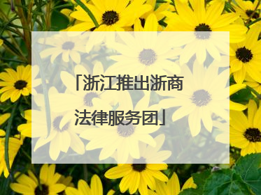 浙江推出浙商法律服务团