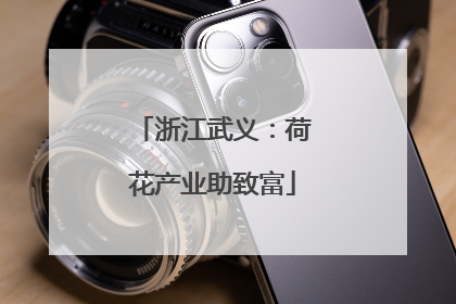 浙江武义：荷花产业助致富