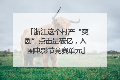 浙江这个村产“爽剧”点击量破亿，入围电影节竞赛单元