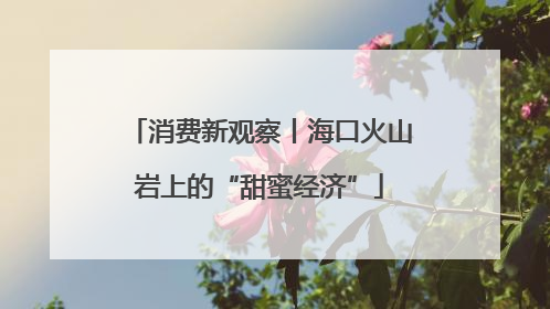 消费新观察丨海口火山岩上的“甜蜜经济”