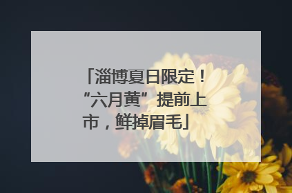 淄博夏日限定！“六月黄”提前上市，鲜掉眉毛