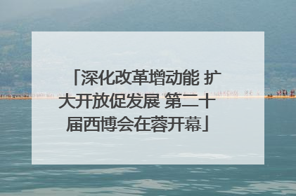 深化改革增动能 扩大开放促发展 第二十届西博会在蓉开幕