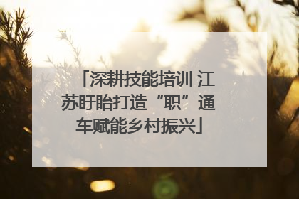 深耕技能培训 江苏盱眙打造“职”通车赋能乡村振兴