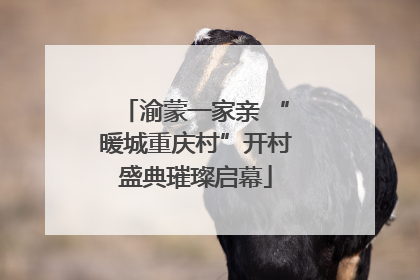 渝蒙一家亲 “暖城重庆村”开村盛典璀璨启幕