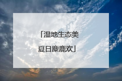 湿地生态美 夏日麋鹿欢
