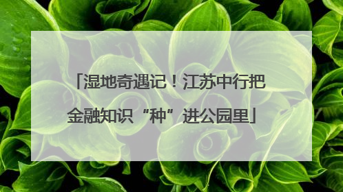 湿地奇遇记！江苏中行把金融知识“种”进公园里