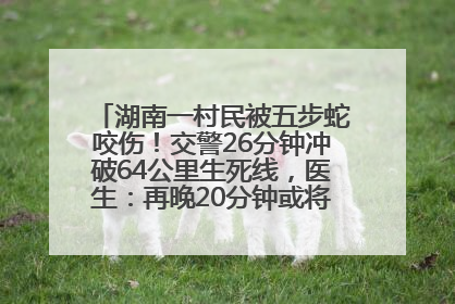 湖南一村民被五步蛇咬伤！交警26分钟冲破64公里生死线，医生：再晚20分钟或将呼吸肌麻痹