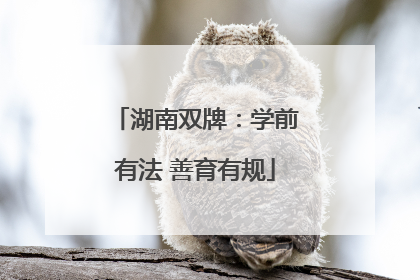 湖南双牌：学前有法 善育有规