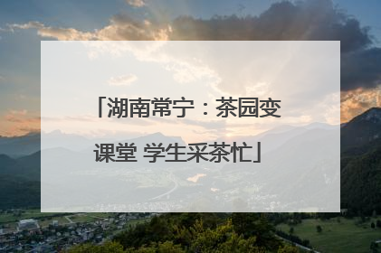 湖南常宁：茶园变课堂 学生采茶忙