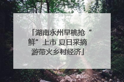 湖南永州早桃抢“鲜”上市 夏日采摘游带火乡村经济