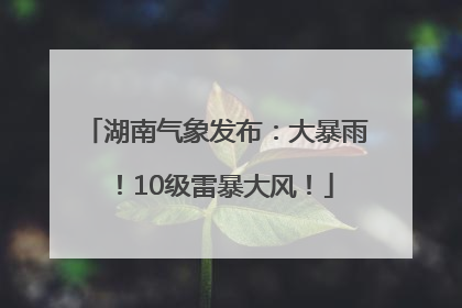 湖南气象发布：大暴雨！10级雷暴大风！