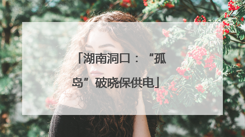 湖南洞口：“孤岛”破晓保供电
