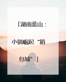 湖南蓝山：小镇崛起“箱包城”