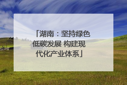 湖南：坚持绿色低碳发展 构建现代化产业体系