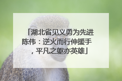 湖北省见义勇为先进陈伟：逆火而行伸援手，平凡之躯亦英雄