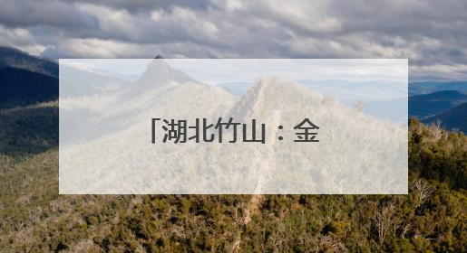 湖北竹山：金叶铺就振兴路