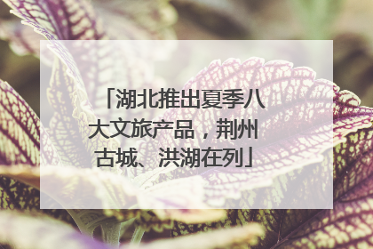 湖北推出夏季八大文旅产品，荆州古城、洪湖在列