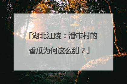 湖北江陵：潘市村的香瓜为何这么甜？