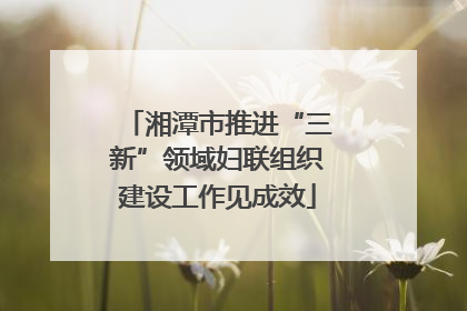 湘潭市推进“三新”领域妇联组织建设工作见成效