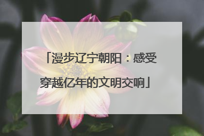 漫步辽宁朝阳：感受穿越亿年的文明交响