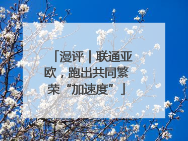 漫评｜联通亚欧，跑出共同繁荣“加速度”
