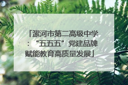 漯河市第二高级中学：“五五五”党建品牌赋能教育高质量发展