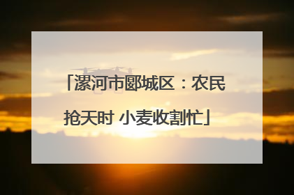 漯河市郾城区：农民抢天时 小麦收割忙