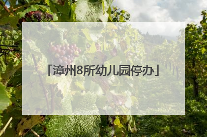 漳州8所幼儿园停办