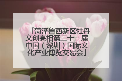 菏泽鲁西新区牡丹文创亮相第二十一届中国（深圳）国际文化产业博览交易会