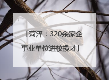 菏泽：320余家企事业单位进校揽才